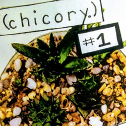 BlackOwnedBusiness CHICORY ZINES