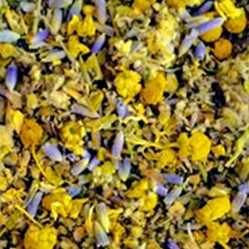 BlackOwnedBusiness CHICORY ORGANIC TEAS