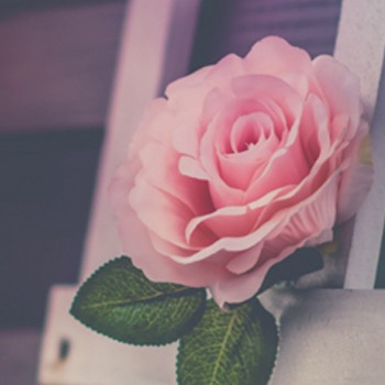 BlackOwnedBusiness CHOSEN WOMB Womens Health Consultation