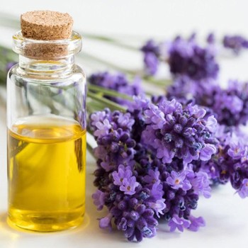 BlackOwnedBusiness GNTLE Ingredients Aloe Vera Lavender Almond Oil
