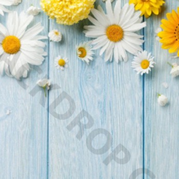 BlackOwnedBusiness BACKDROP CITY Spring Daisies Backdrop